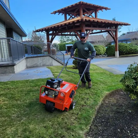 Aerating a lawn beside a timber gazebo
